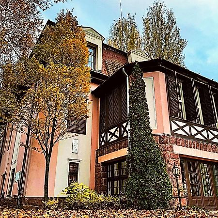 Party Villa Holiday Rent Balatonföldvár المظهر الخارجي الصورة