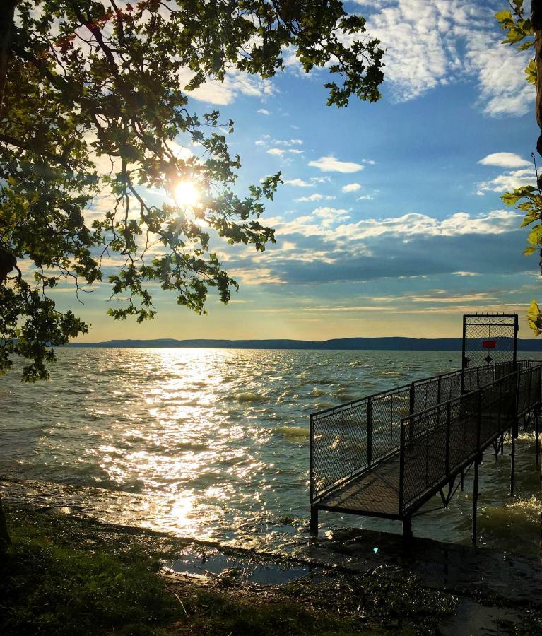 Party Villa Holiday Rent Balatonföldvár المظهر الخارجي الصورة