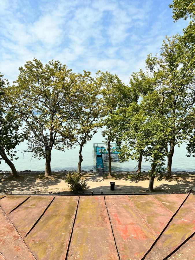 Party Villa Holiday Rent Balatonföldvár المظهر الخارجي الصورة