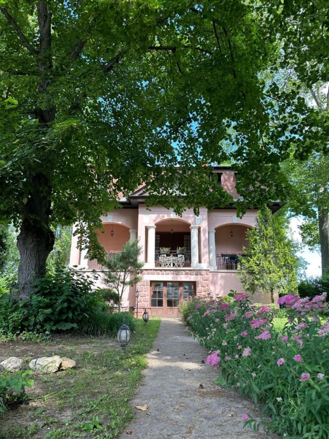 Party Villa Holiday Rent Balatonföldvár المظهر الخارجي الصورة